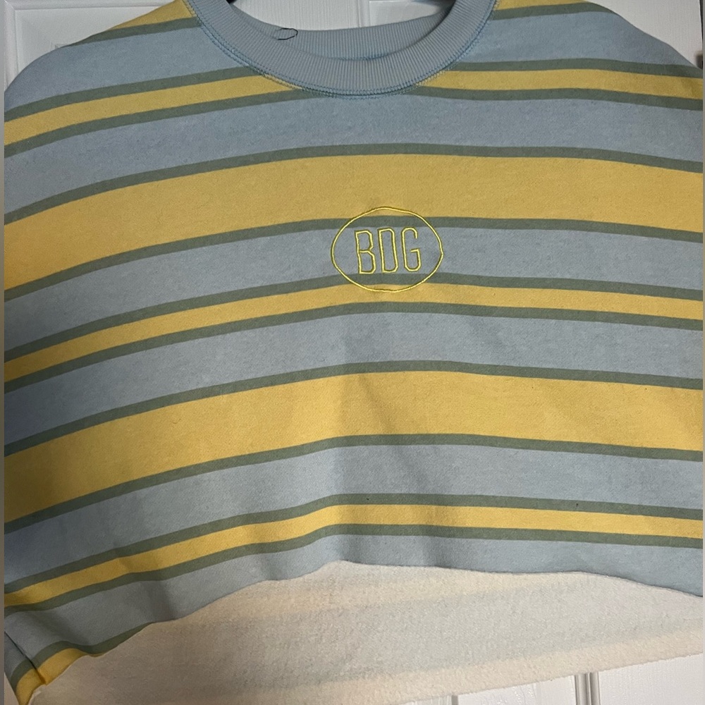 BDG Urban Outfitters Cropped Crew